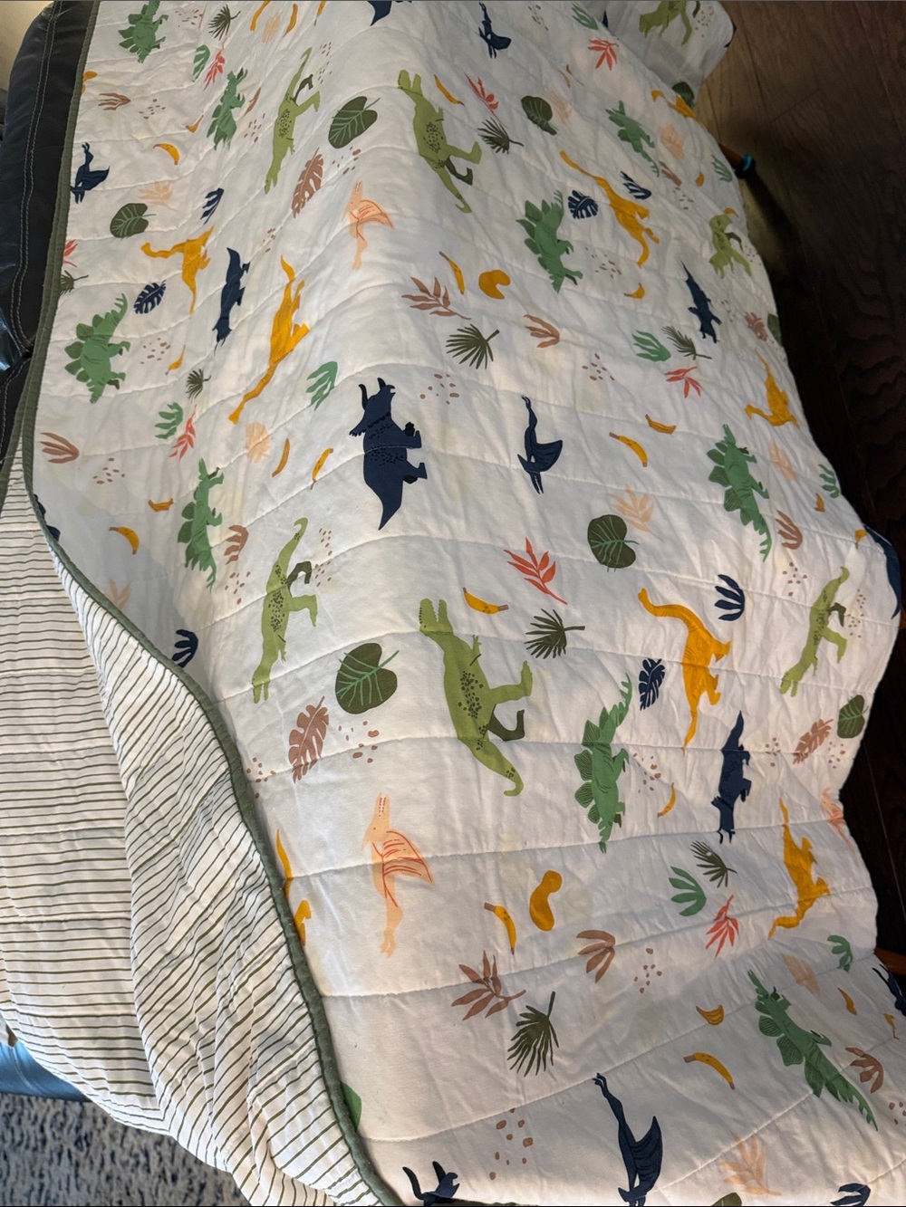 Pillowfort Full/Queen Kids Dinosaur Quilt/Reversible to Green/White Stripes